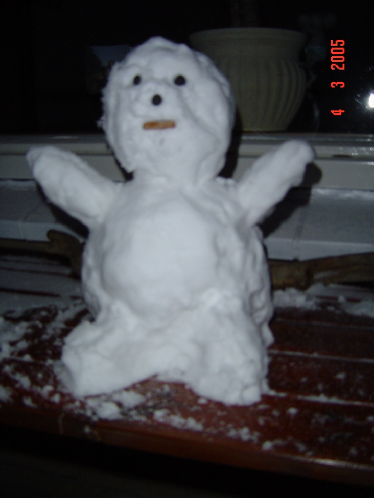 Mijn_kleine_sneeuwpop.jpg