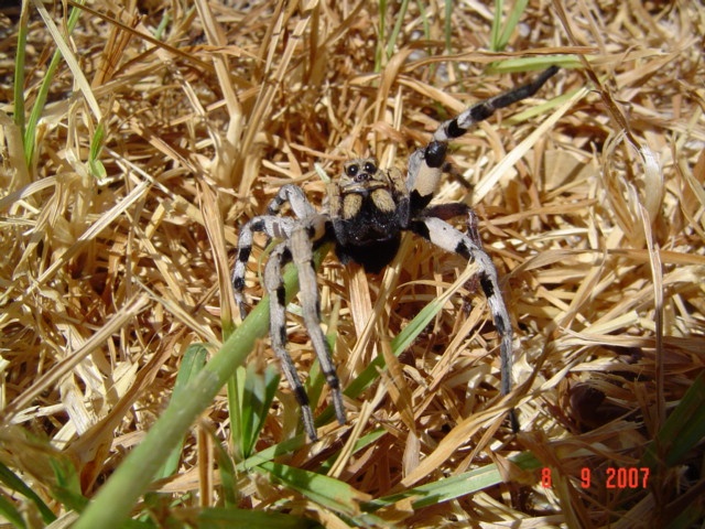 Rhodos_2007_340.jpg