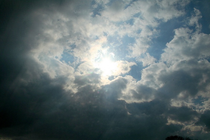 IMG_6863.JPG