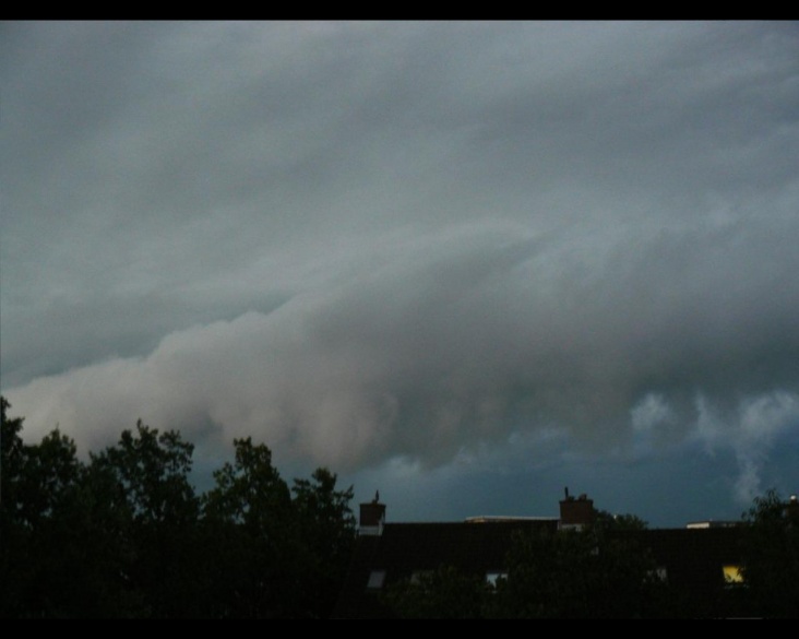 shelfcloud.jpg
