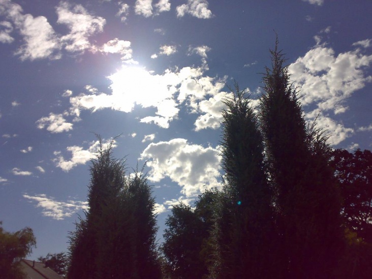 070820082247.jpg