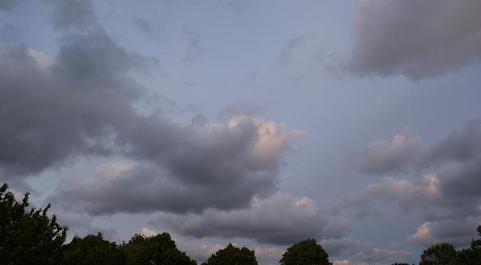 wolk03oo.JPG