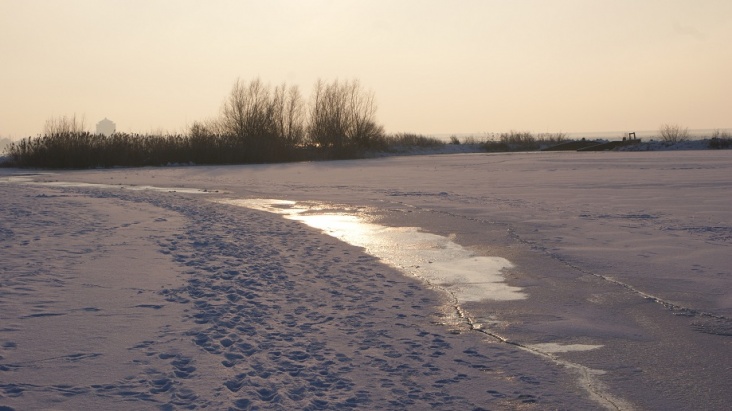 OOwinter06.jpg