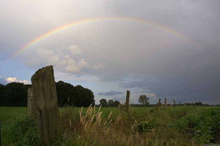 regenboogpaa_.jpg
