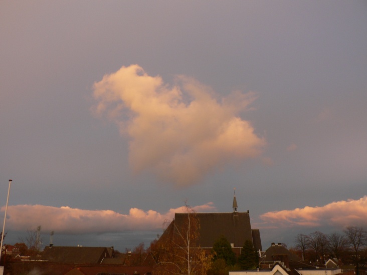 P1150029.JPG