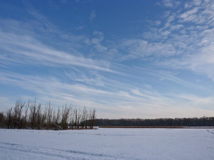 P1000859.jpg