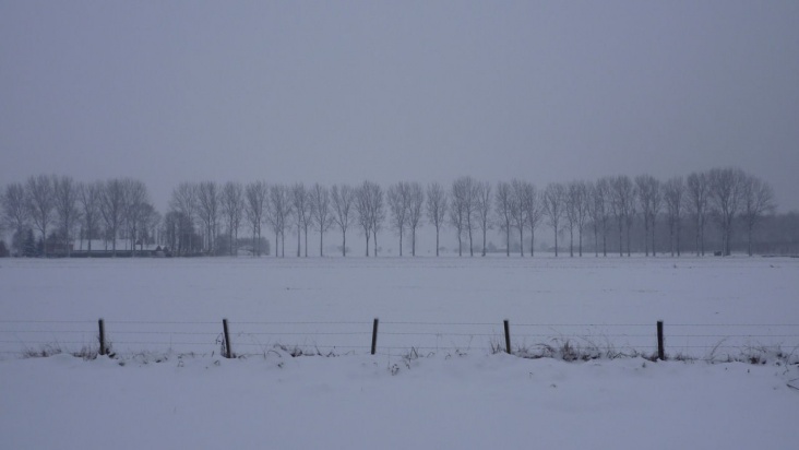 P1080800.JPG