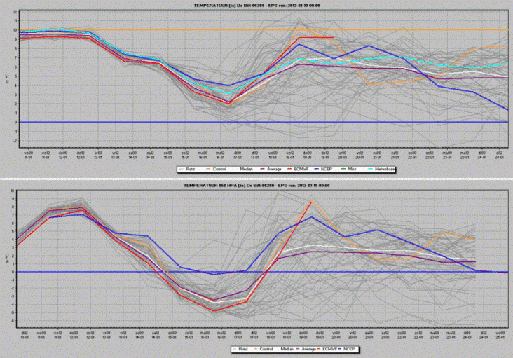 vorst1.gif