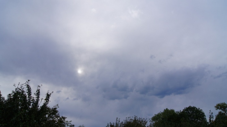 DSC01917.JPG