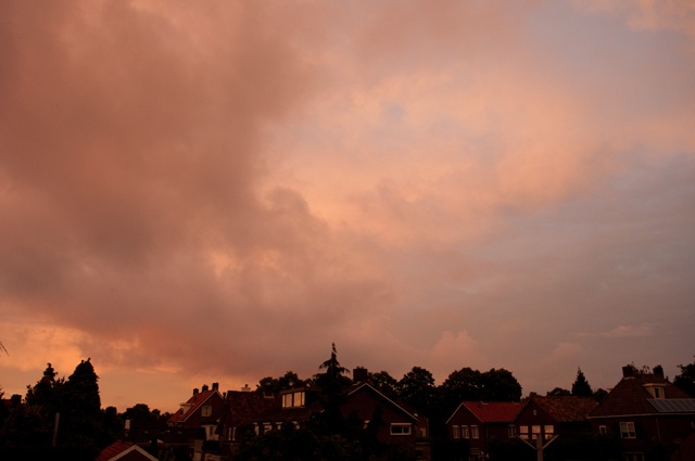 DSC_0021_01.jpg