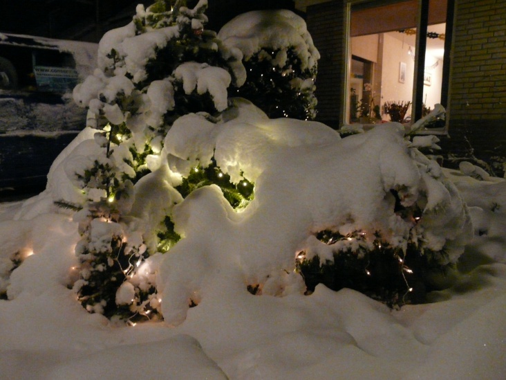 sneeuw_17_dec_09_avond.jpg