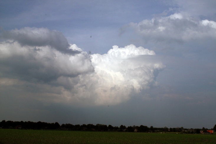 wolk4.jpg