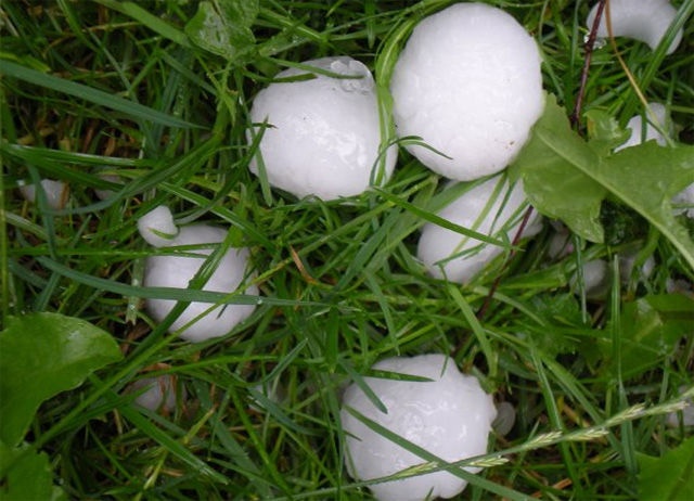 hagel4.jpg
