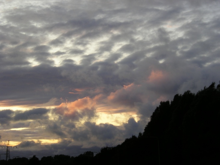 P1010025.JPG