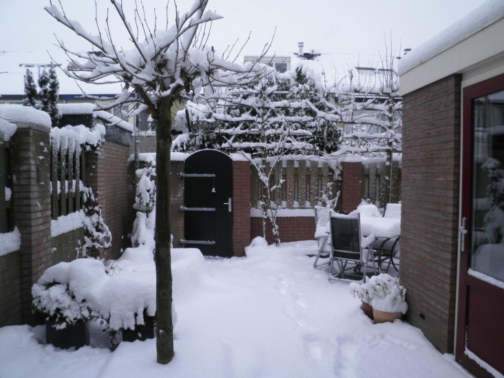 Sneeuw3.jpg