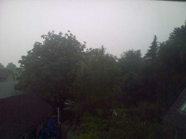 08062010127.jpg