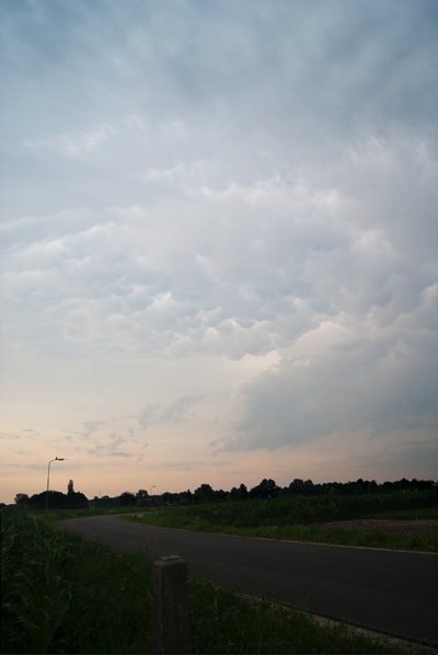 3779_mammatus.jpg