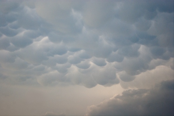 3773_mammatus.jpg