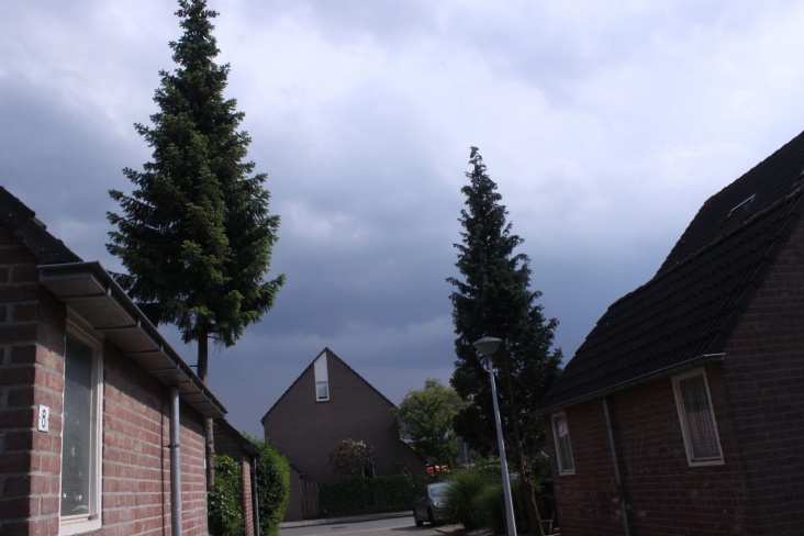 onweer_08_06_10_003.jpg