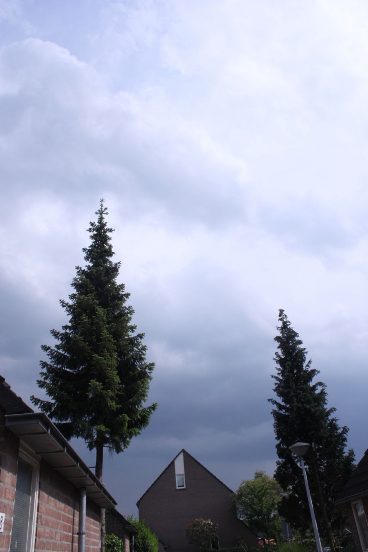 onweer_08_06_10_004.jpg