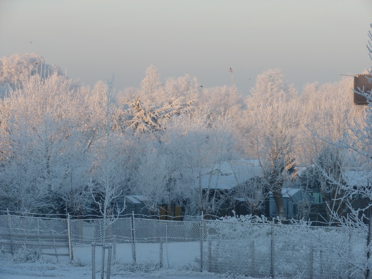 Sneeuw_22_12_07_003.jpg