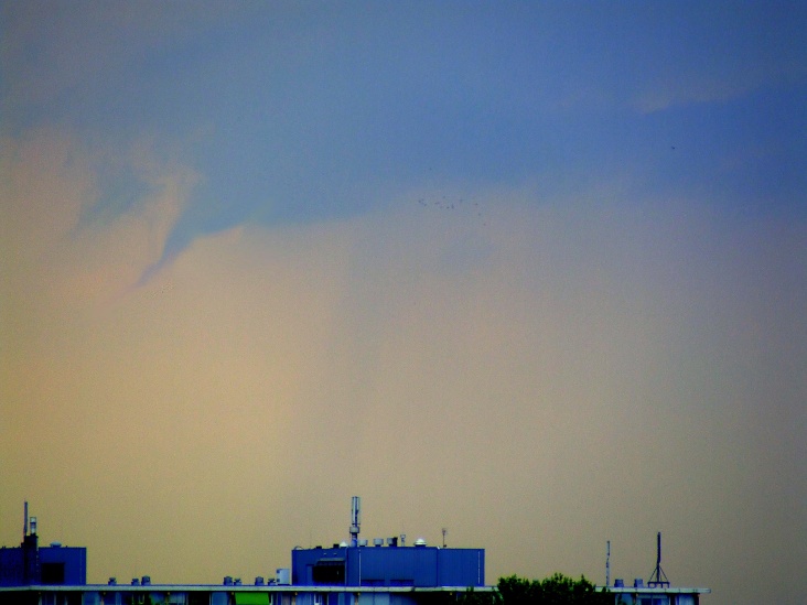 DSCF1137.JPG