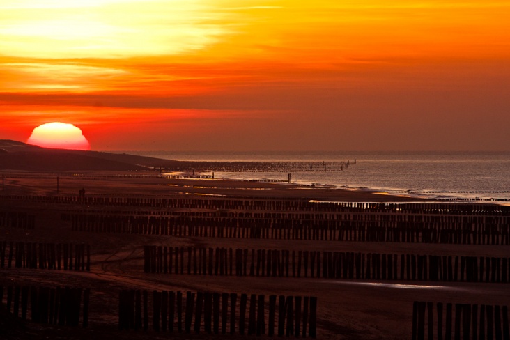 _MG_5929.jpg