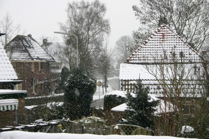 Sneeuwval_10_2010.jpg