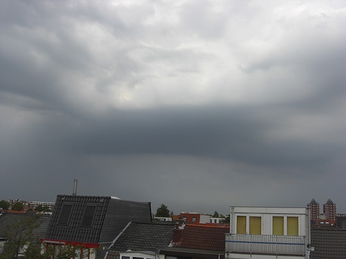 wolk_7.jpeg