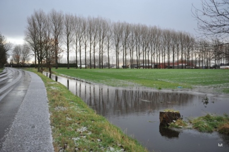 regen_8.JPG