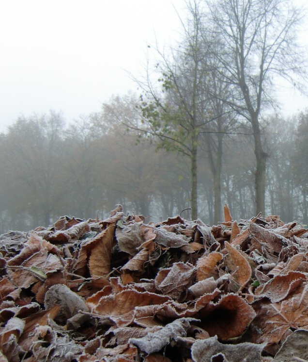 VAN_ZOMER_NAAR_WINTER2.jpg