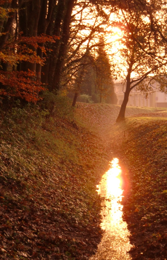 zonsonderg_donderdag_24_11.jpg