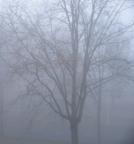 mist.jpg