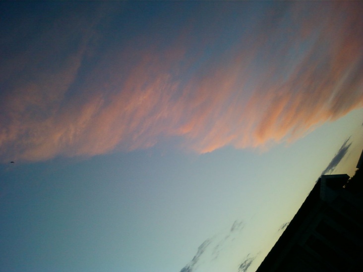 Foto_0247.jpg