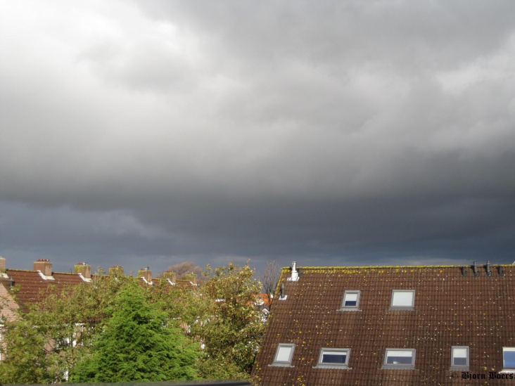 19_okt_2010_kleuren.JPG