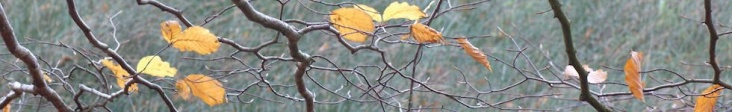 DSC06051.JPG
