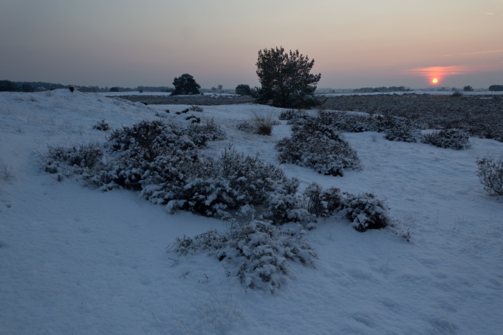 MAAS20120204_159.jpg