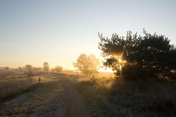 MAAS20111016_76.jpg