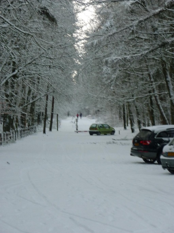 winter_20100111.jpg