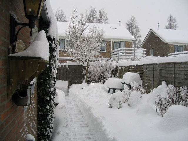 Sneeuw_2_maart_2005.jpg