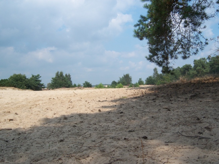 duinen2.jpg