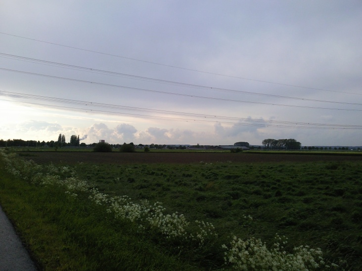 landschap.jpg