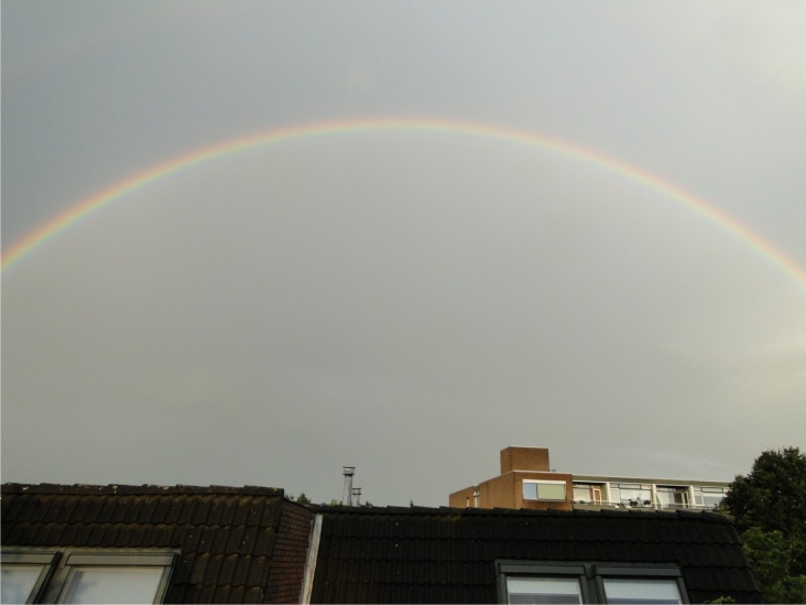 regenboog_rijssen.jpg