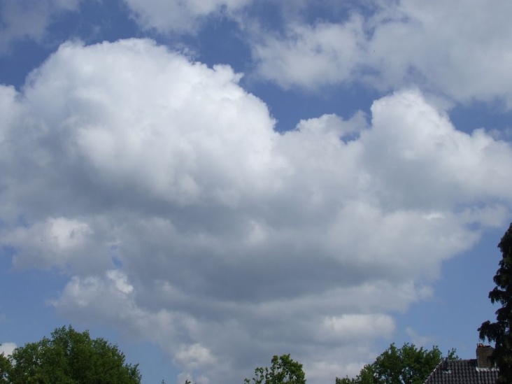 DSCF1699.jpg