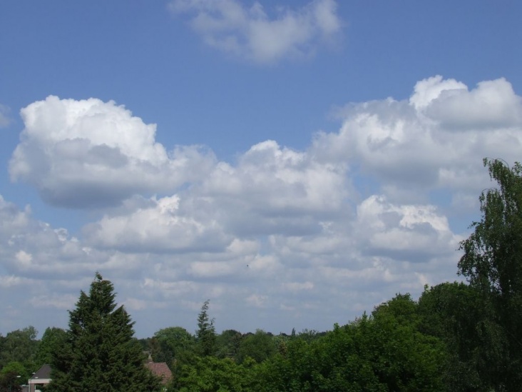 DSCF1701.jpg