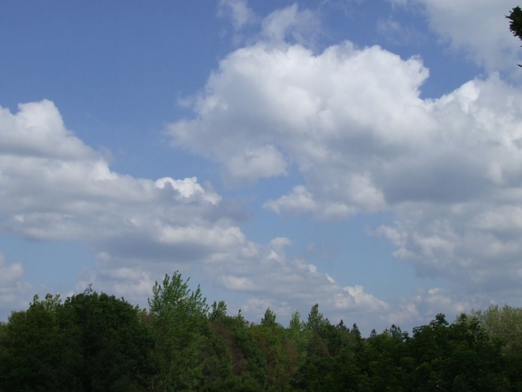 DSCF1702.jpg