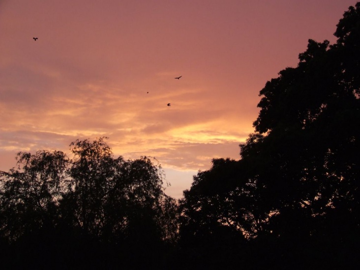 DSCF1732.jpg