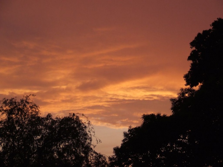 DSCF1733.jpg