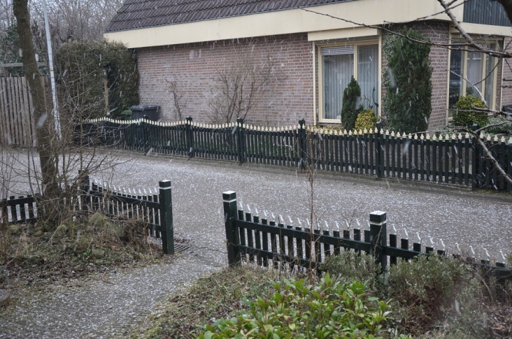 sneeuw.jpg