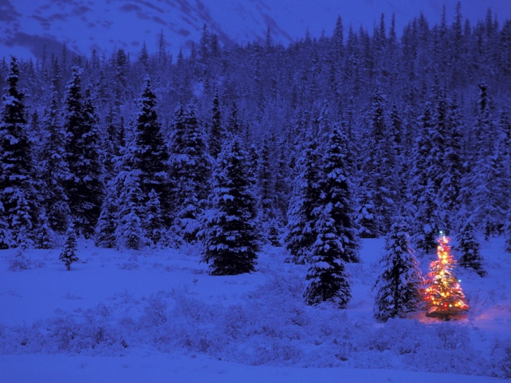 Apline_Glow__Summit_Lake__Alaska.jpg